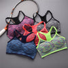 Adjustable Straps Sport Bra